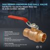 Everflow SWT Gas Ball Valve, Brass 3" 300C003